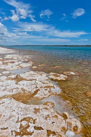077 Lake Clifton, thrombolites.jpg